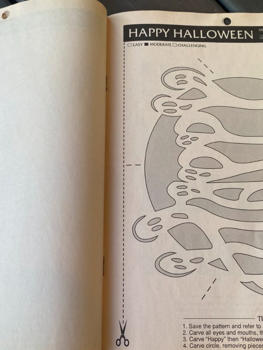 Pumpkin Masters-Lettering/Custom Craving Patterns book! - Picture 5 of 8